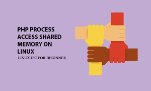 PHP Process Access Shared Memory on Linux