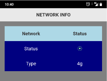 4G Cellular Connection